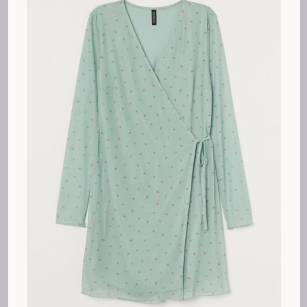 H&M Mesh Wrap Dress